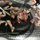 더 펫 플레이스 네이버블로그