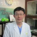 필동물종합병원 | 양천구 목4동 동물병원 필동물종합병원 진료시간 접근성 이용후기
