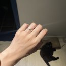 댕스밥상 | Wedding 💍🫧🤍