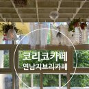 코리코카페 연남 홍대 지브리 카페