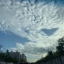 지리골길 | [동해/발한동] 매운뼈찜 리얼 맛있는 현지인맛집 '권대감감자탕매운뼈찜'