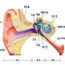 정진 행정사 사무소 이미지