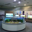 근재집 책판 이미지