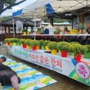 성대3리 네이버블로그
