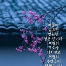 설 연휴 잘 보내시고 늘 건강하세요 이미지