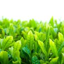 청남축산 이미지