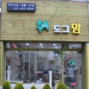 더 도그맘 이미지