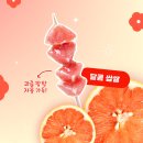 왕가탕후루 이미지