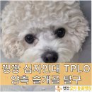 횡성동물병원 이미지