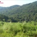 강화목장 이미지