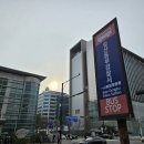 야키토리잔잔 일산점 | [라페스타 술집] 일산 이자카야 야키토리잔잔 오픈런 후기 / 일산 하이볼