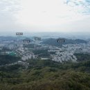 태청산 편백나무숲 트레킹길 | 등산 초보도 쉽게 오를 수 있는 분적산/ 트레킹 코스 /주차 정보 / 트레킹 후기