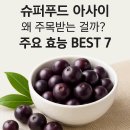 우림시장약국 | 슈퍼푸드 아사이, 왜 주목받는 걸까? 주요 효능 BEST 7
