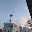 구로중학교 | 2025년 제47회 위생사 시험 합격 및 면허증 발급 후기