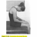 15. 맥켄지 척추재활 방법(McKenzie spinal rehabilitation methods) - 이 챕터는 따로 논문을 읽어야 할듯 이미지