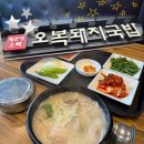 오복국밥 - 경산시 문화로 10 | 부산 해운대 오복돼지국밥 🥄 맑고 깊은 국물에 반하고 온 내돈내산 후기 😋
