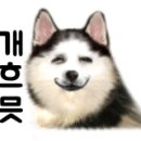 푸르미네 수제간식 이미지