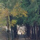 법기수원지 | 법기수원지 가을 산책 후기 – 물빛에 물든 계절의 쉼표