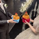 더 에스 짐 | [W15] 부산 문현 더 에스 웨딩홀 본식 후기