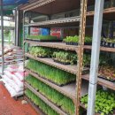 오수농자재백화점 이미지