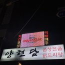 [대전 괴정동] 곱창과 차돌의 만남 양현담 내돈내산 후기