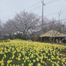 (주)더해맑음