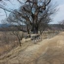 안동학가산온천 이미지