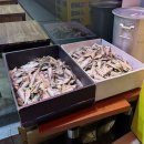 미소분식 | [고양/대화] 내돈내산 대화역 분식집, 미소떡볶이 후기 (주차가능)