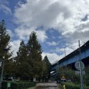 C2 | [부산/화명] 부산 도심 속 힐링 화명오토캠핑장 명당 C2,3 후기