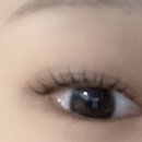 팅커벨브로우