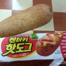 돌아온켄터키 이미지