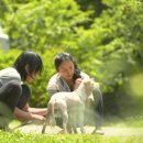 나마스떼 민박 이미지