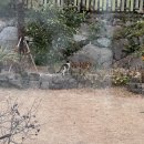 도사 내돈내산 후기 / 카페 위이 추천 / 야자수 숲길 트로피카나 에이디디 코리아 조경공사 / 제주 해녀...
