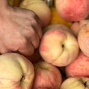 복숭아아저씨 이미지