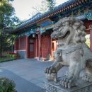 북경차이나 이미지