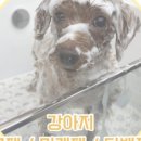 그루머솔 이미지