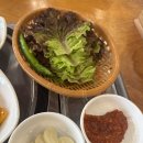 대양식당 - 서구 | 대양식당