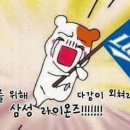 멋쟁이토마토