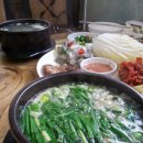 굴천지 Daum카페