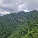 못안 Daum카페