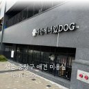 내안에너있DOG 이미지