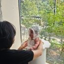 럭셔리스튜디오 | 진주 스튜디오추천 아기성장사진 추천하는 럭셔리포토 후기