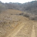 쌈채우리 이미지