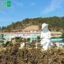 소라초등학교신흥분교 이미지