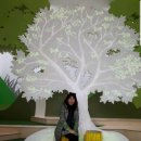강릉원주대학교(원주캠퍼스) Daum카페