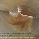 사골흑염소 이미지