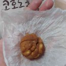 코코호도첨단점