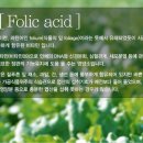 지엠관리 이미지