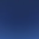 바다정원;바다정원애견