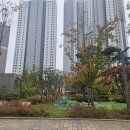 명품대전아이파크시티2단지공인중개사사무 | 대전아이파크시티 2단지 귀한 전세물건 강추